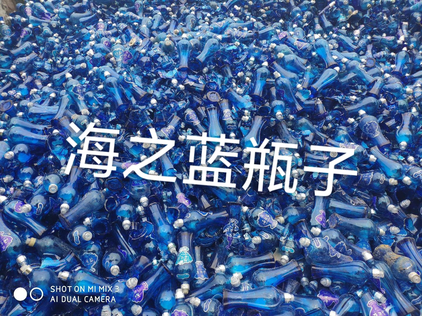 建湖海之蓝瓶回收